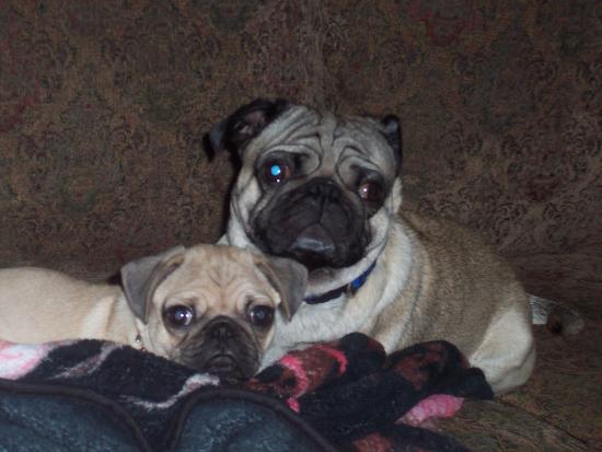 Tori and Oscar